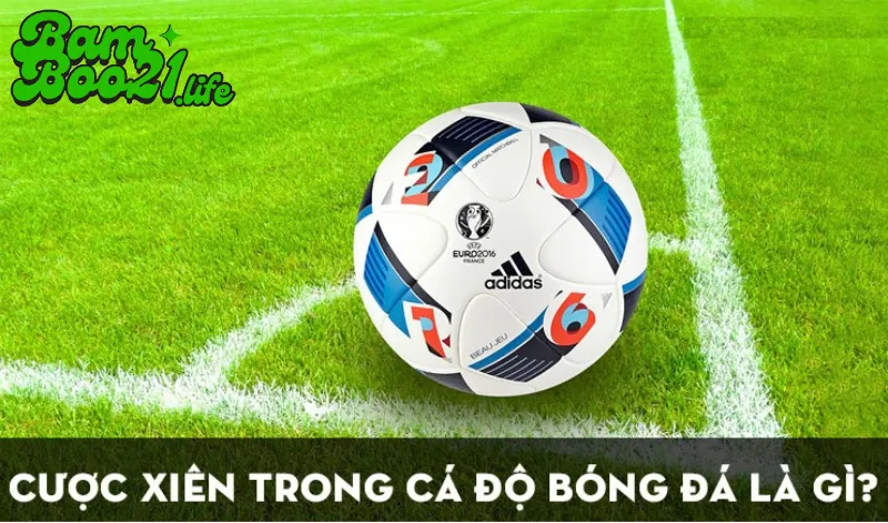 Kèo Xiên Trong Bóng Đá BamBoo21 3 Kèo Xiên Trong Bóng Đá BamBoo21