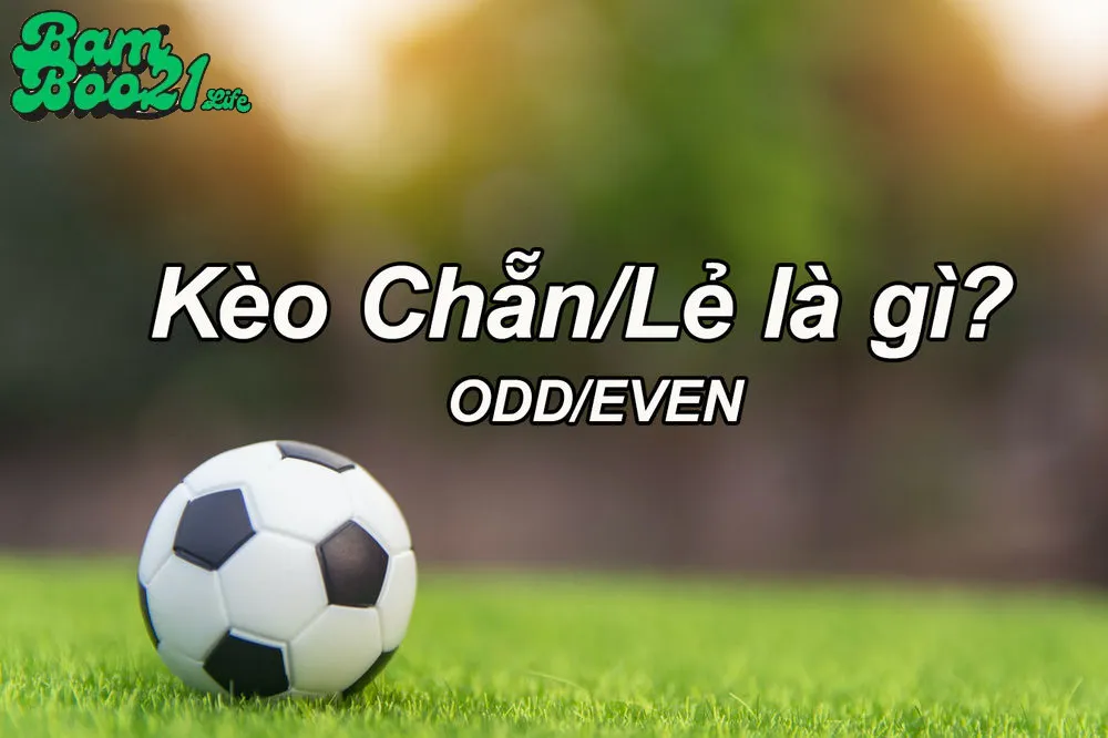 Kèo Chẵn Lẽ Là Gì?